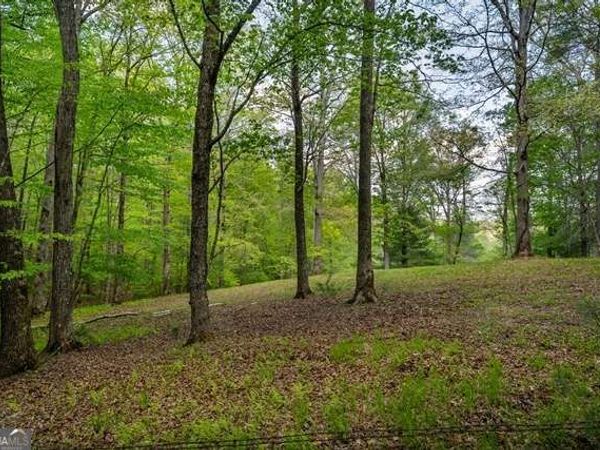 LOT 3-4 Scouts Overlook Lane, Morganton, GA 30560