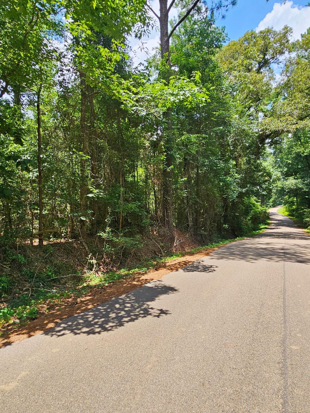 0 Jack Hall Rd., Mount Olive, MS 39119 Main Photo