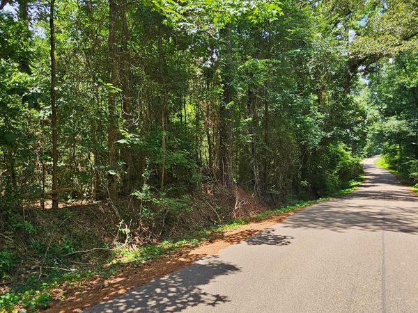 0 Jack Hall Rd., Mount Olive, MS 39119