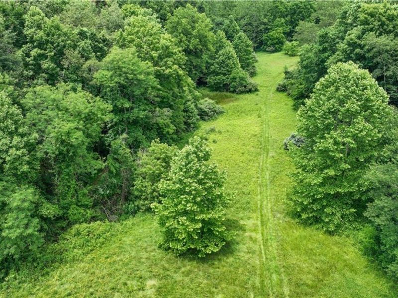 147 W Leatherwood Pike, Barnesville, OH 43713 Photo 6