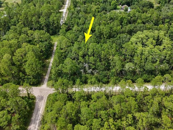 5446 MANGO AVENUE , BUNNELL, FL 32110