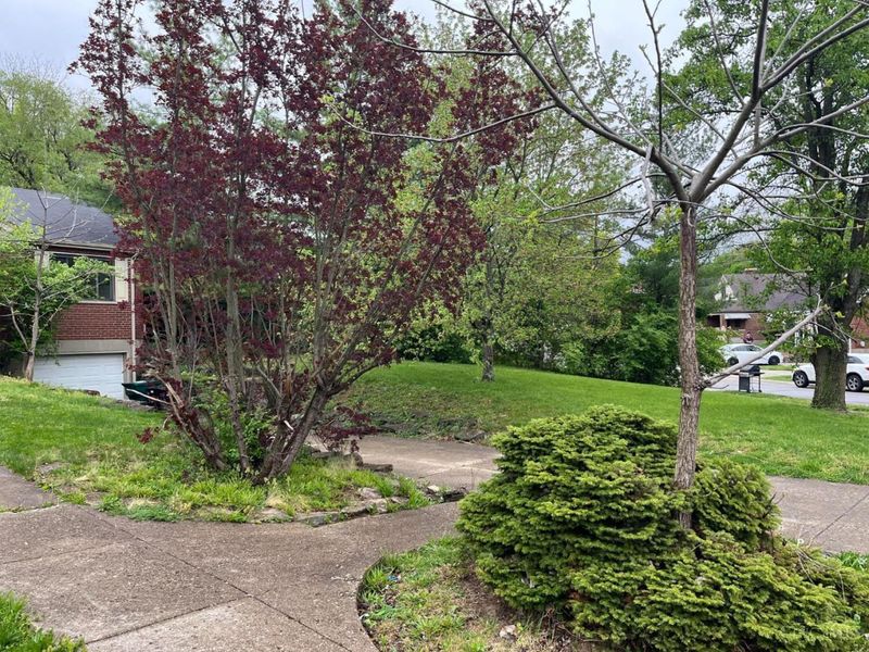 4300 Cappel Drive, Cincinnati, OH 45205 Photo 3