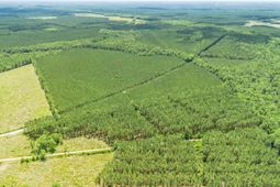 Tract C Ten Acre Rd.  photo 4