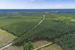 Tract C Ten Acre Rd.  photo 4