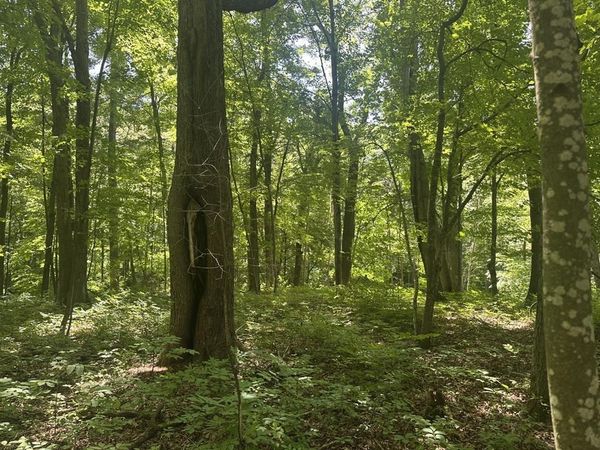 Lot 1 Becker Road, Elk Mound, WI 54739