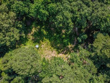 11460 La Hwy 967, St Francisville, LA 70775
