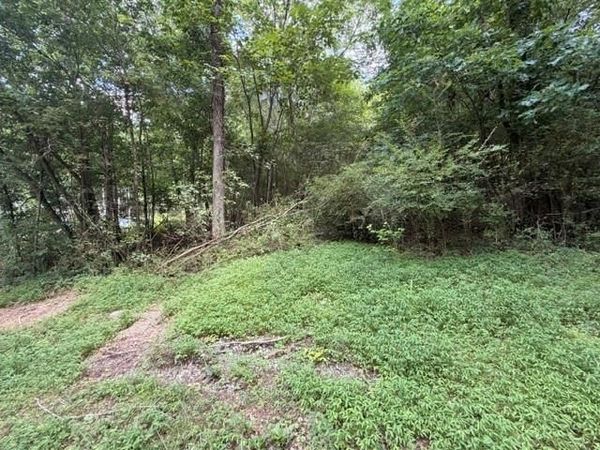 280 Nixon Road , Summerville, GA 30747