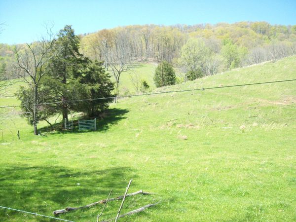 2812 Rebel Hollow Road, Tazewell, TN 37879