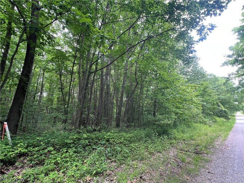 Weaver Road, Conneaut, OH 44030 Photo 1