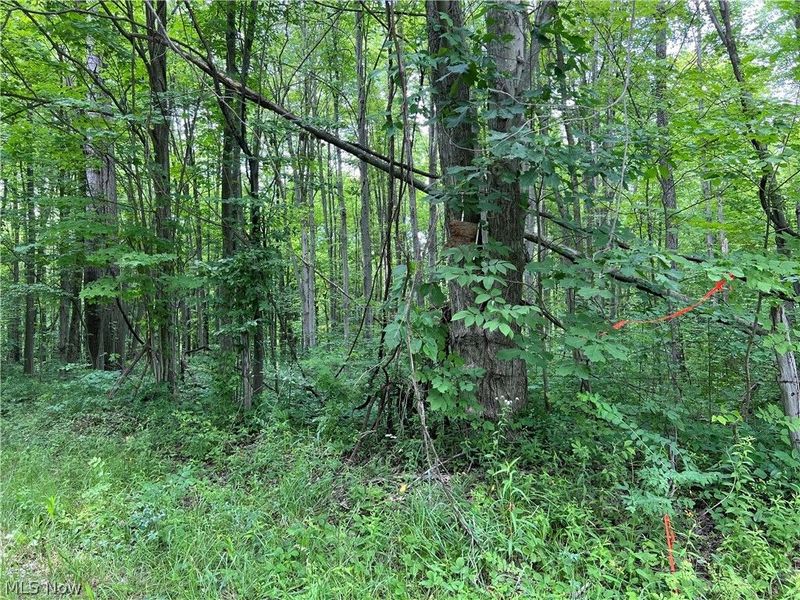 Weaver Road, Conneaut, OH 44030 Photo 2