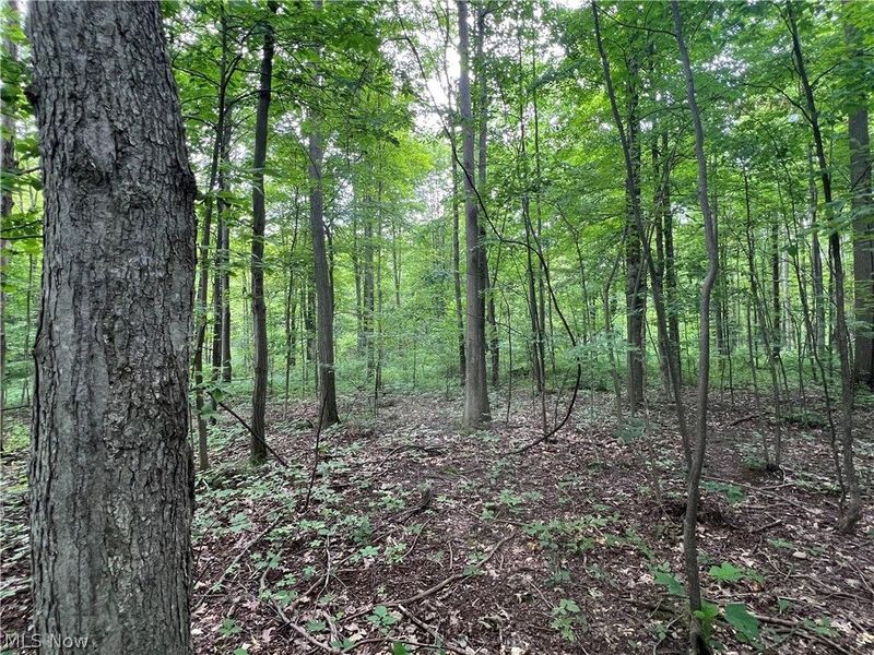 Weaver Road, Conneaut, OH 44030 Photo 3