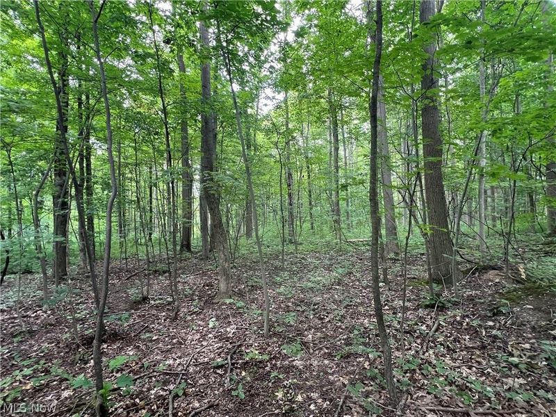 Weaver Road, Conneaut, OH 44030 Photo 4