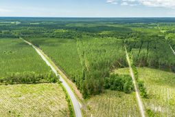 Tract D Ten Acre Rd.  photo 4