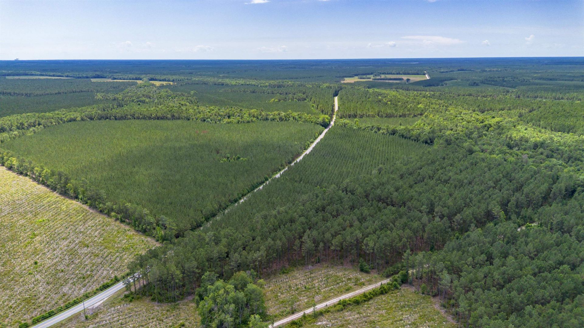 Tract D Ten Acre Rd.  Photo 5