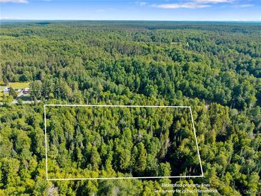 Fish Creek Road, Greig, NY 13345