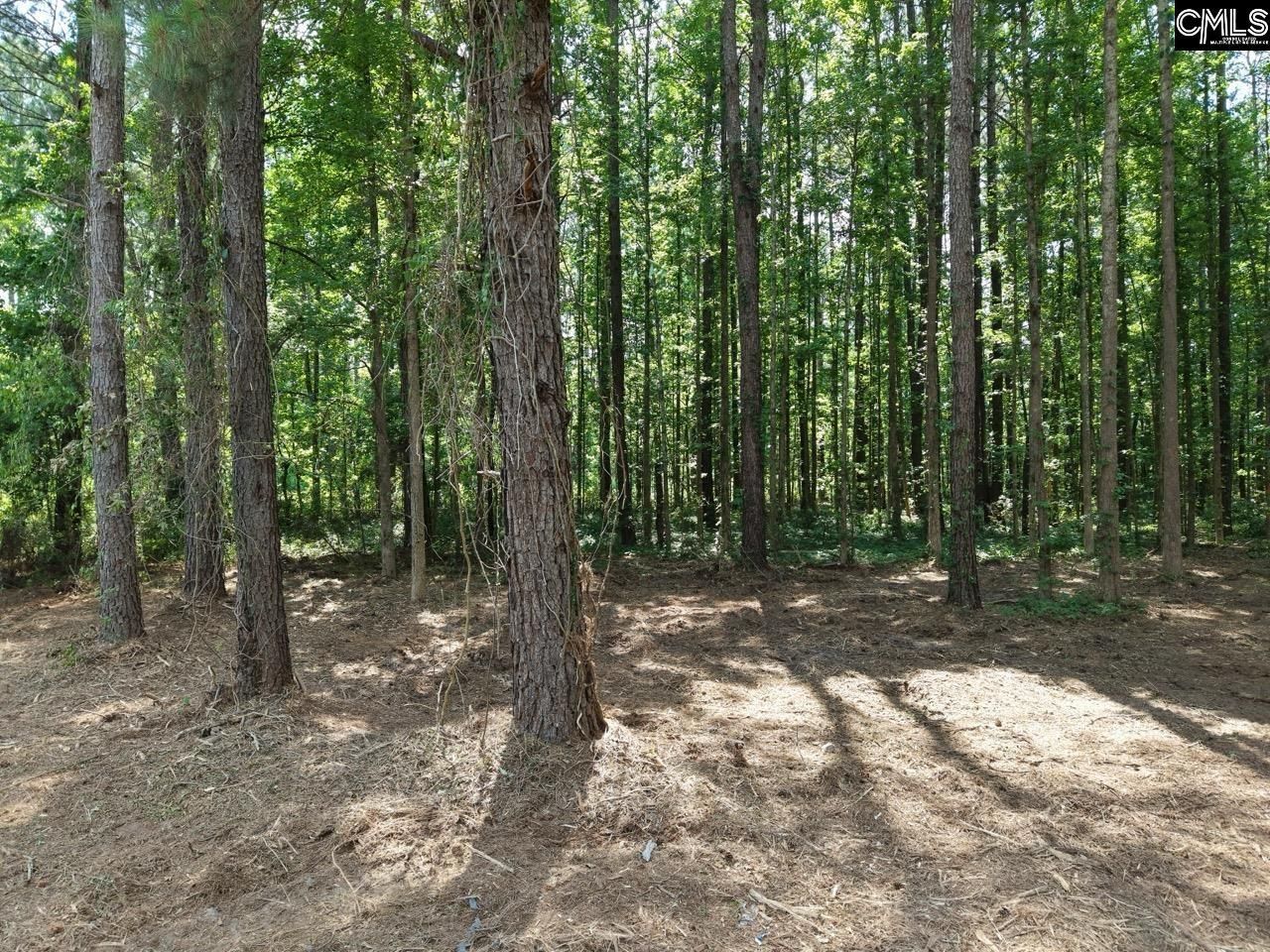 0 Peace Lane  Photo 13