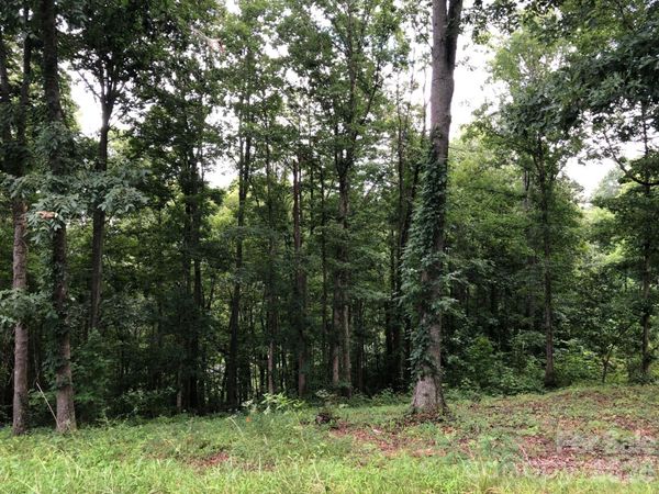45 Sweet Fern Parkway , Asheville, NC 28804