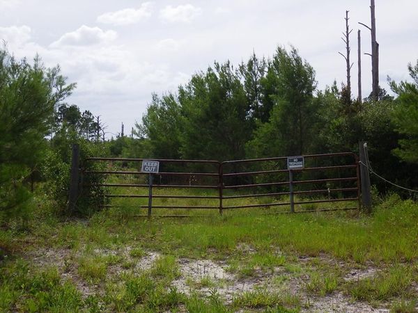 SW 132nd Ter, Cedar Key, FL 32625