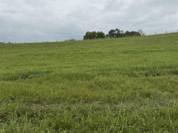 Lots 2 Head Road , Tompkinsville, KY 42167