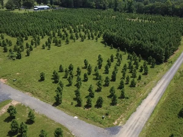 TBD Serenity Ln , Mena, AR 71953