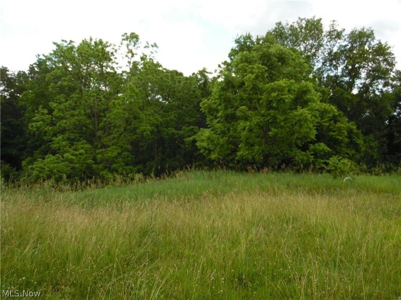 84 Sealy Ridge Road, Little Hocking, OH 45742 Photo 49