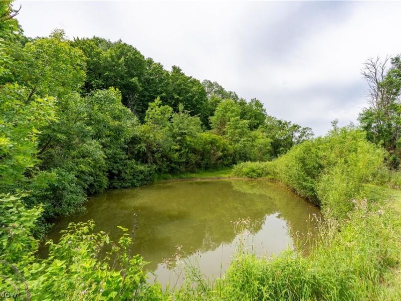 9115 Arrow Road NW, Minerva, OH 44657 Photo 7
