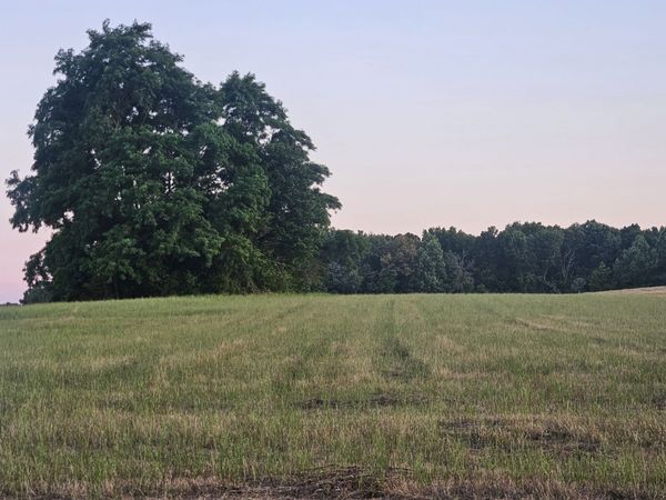 0 Blanton School Rd , Unit 2, Woodbury, TN 37190
