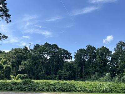 0 Low Country Highway, Ehrhardt, SC 29081