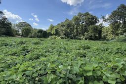 0 Low Country Highway photo 4