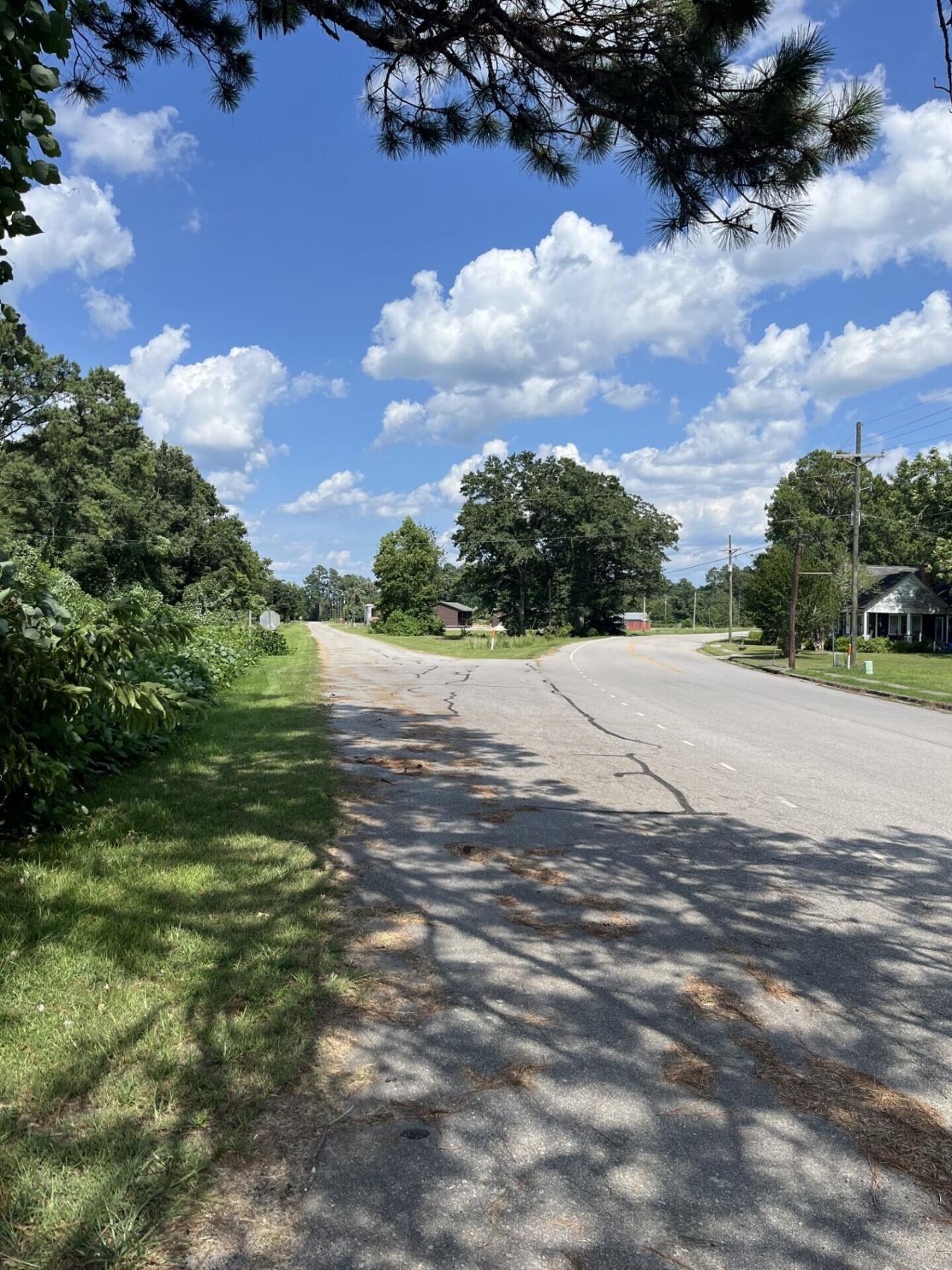 0 Low Country Highway Photo 8