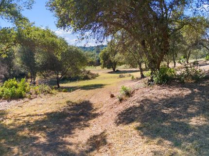1374 Orange Hill Ln, Penryn, CA 95663 Photo