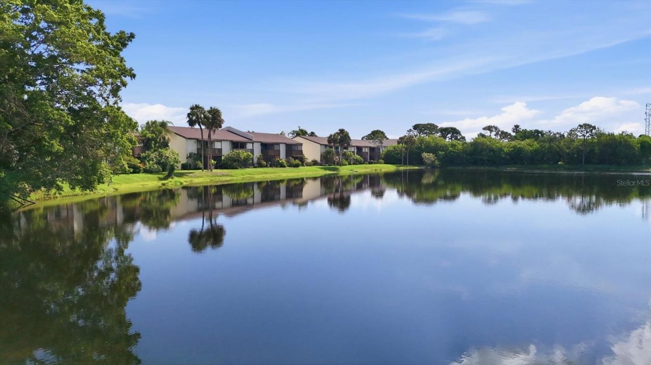 11409 8th Street N, Unit 1509, Saint Petersburg, FL 33716 Photo