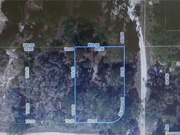 344 ROLLING HILLS DRIVE , LAKE PLACID, FL 33852