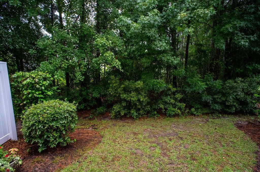 791 Painted Bunting Dr. Photo 86