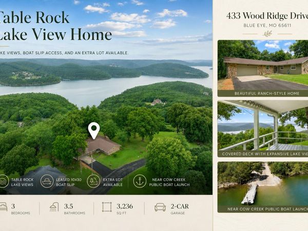 433 Wood Ridge Drive, Blue Eye, MO 65611