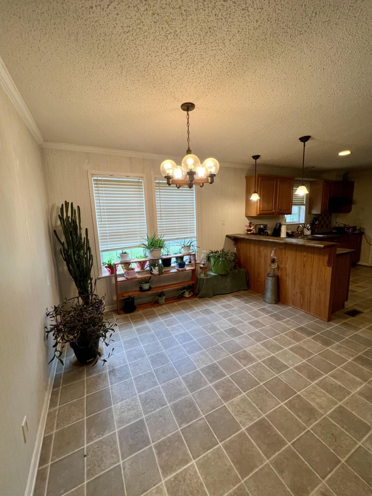 436 Earnels Drive Photo 22