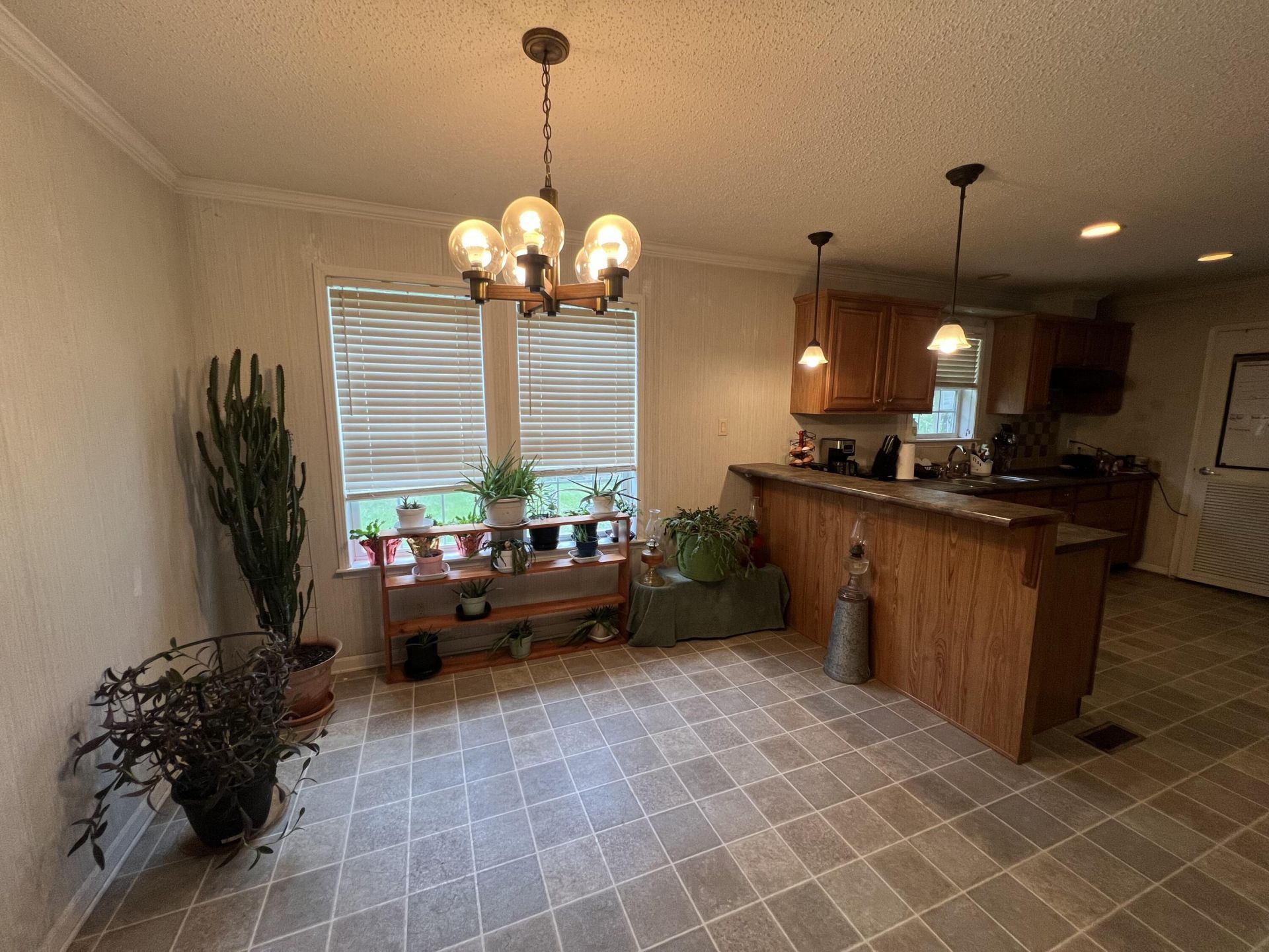 436 Earnels Drive Photo 23