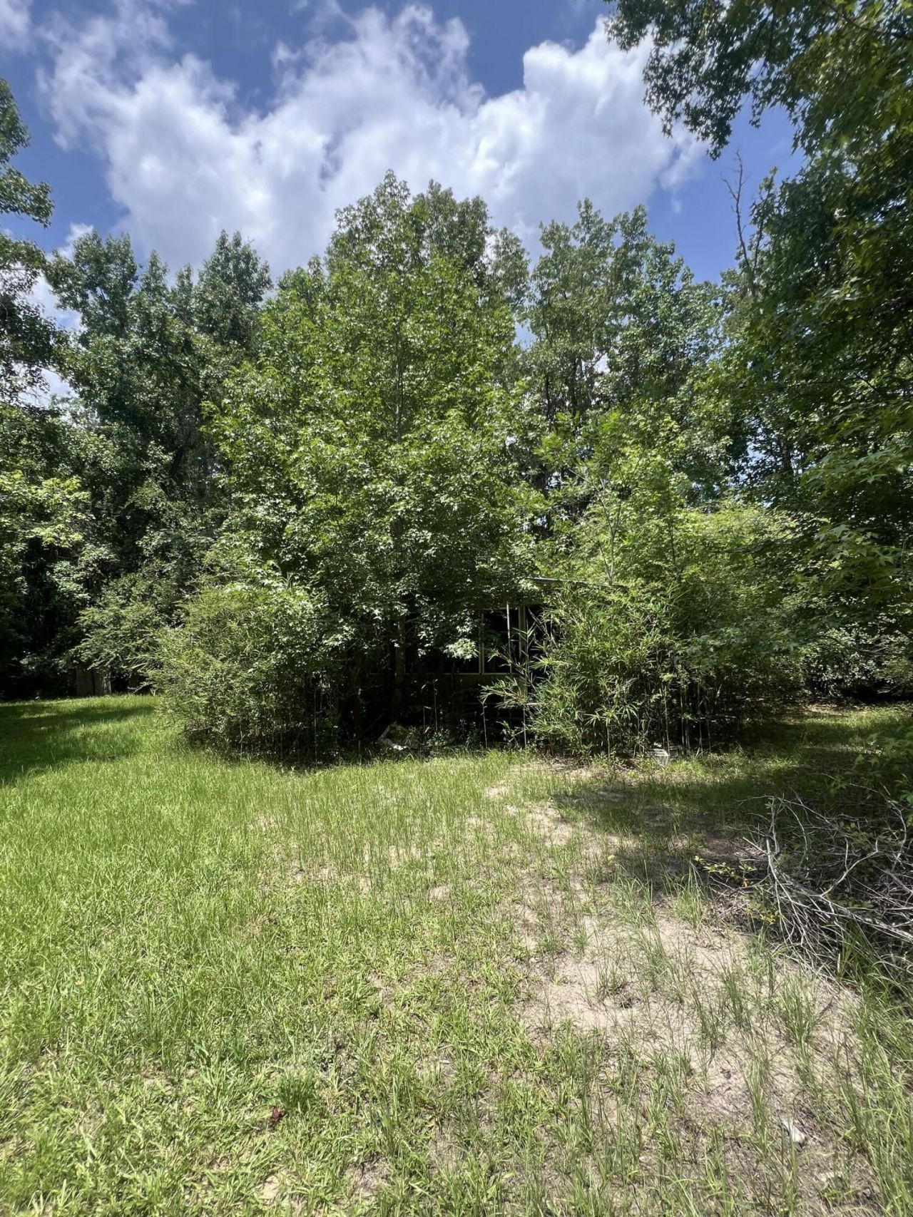 436 Earnels Drive Photo 29