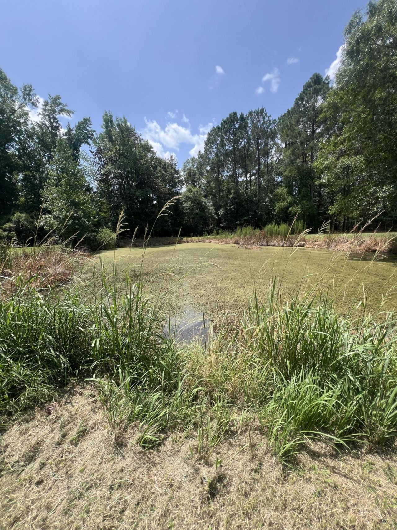 436 Earnels Drive Photo 31