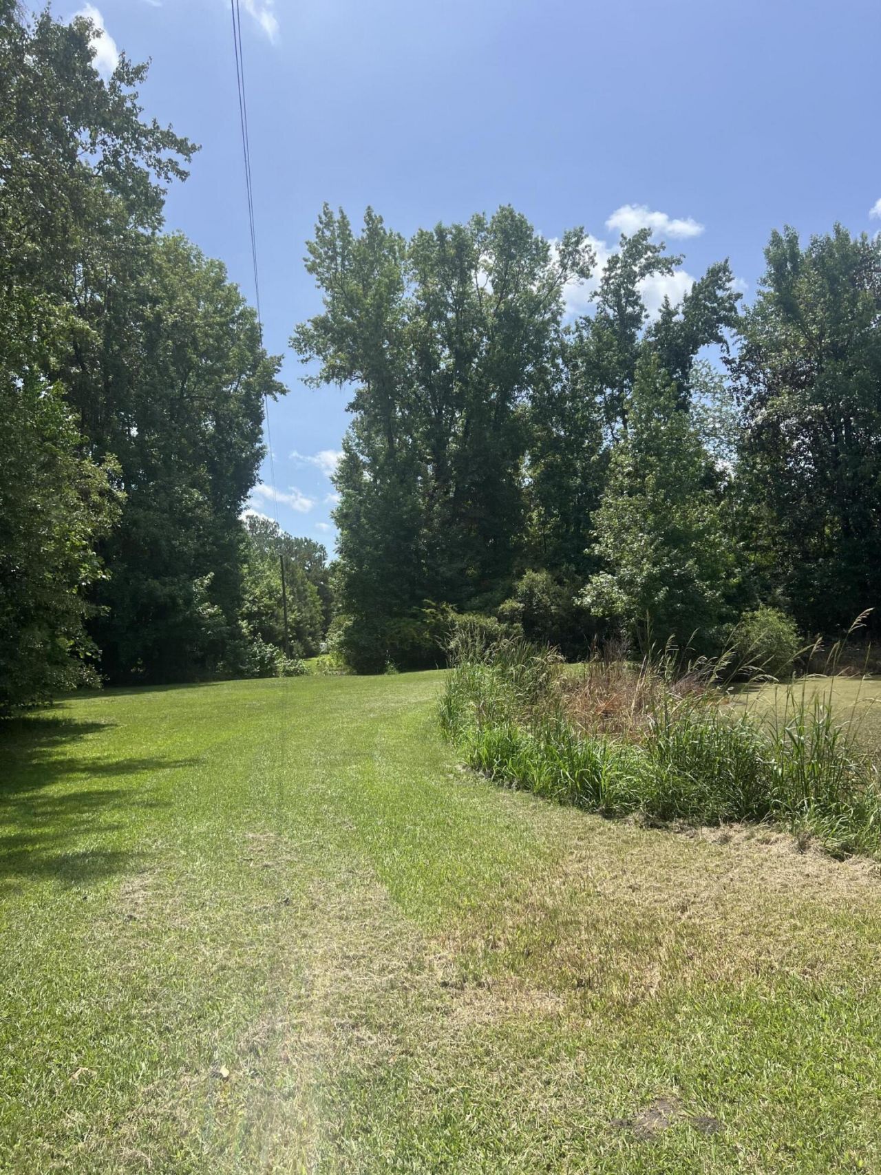 436 Earnels Drive Photo 32