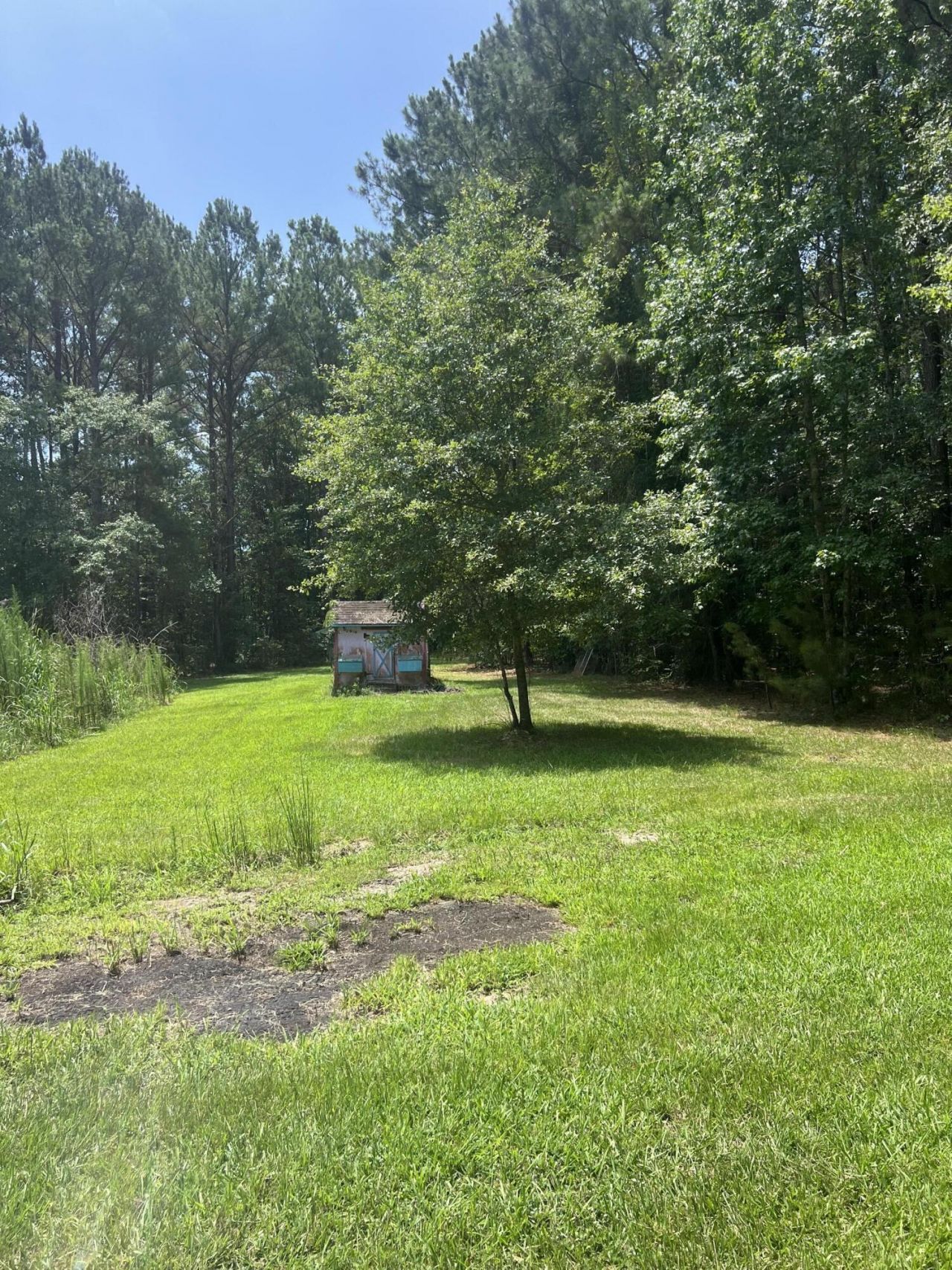 436 Earnels Drive Photo 35