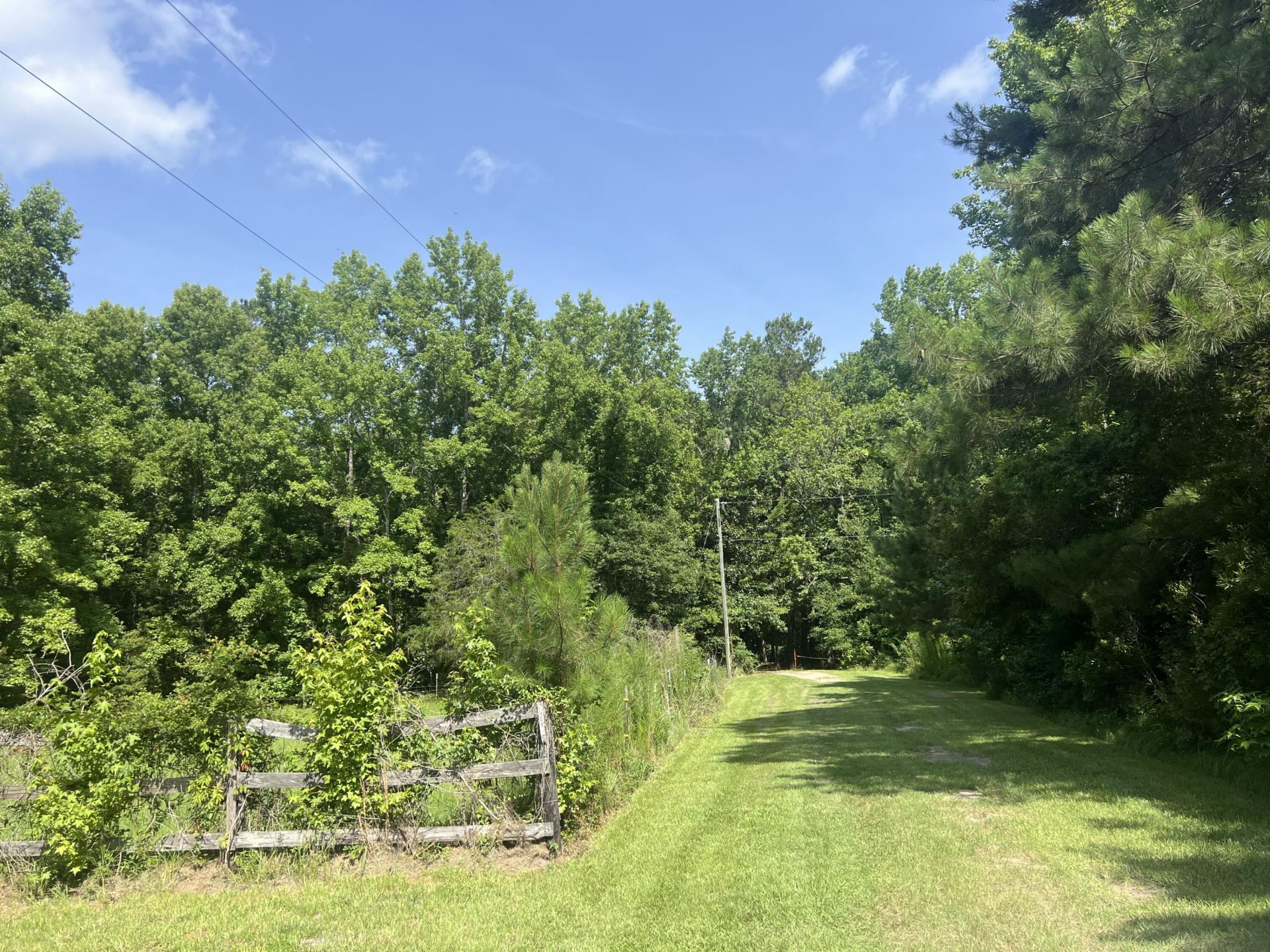 436 Earnels Drive Photo 6