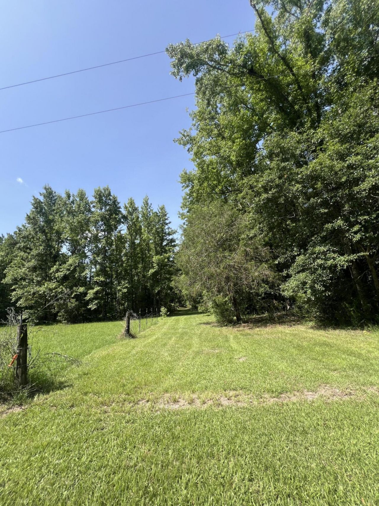 436 Earnels Drive Photo 7