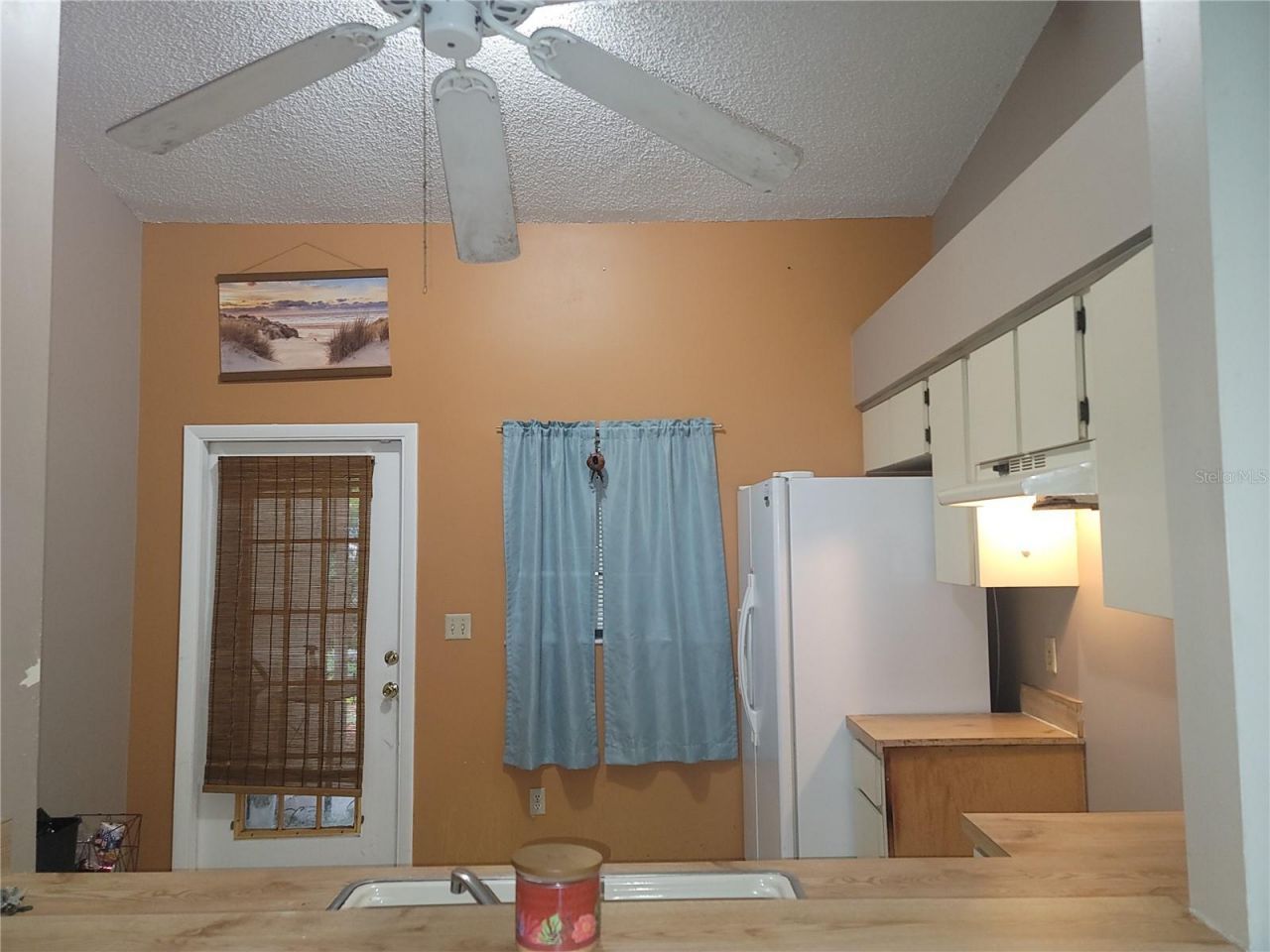 3136 Albin Lane , Orlando, FL 32817 Photo