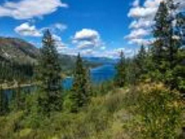 3634 N 25 Hwy, Northport, WA 99157