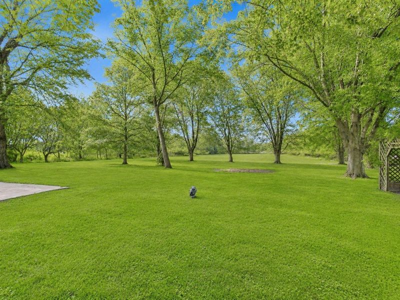 11547 State Route 47, Richwood, OH 43344 Photo 29