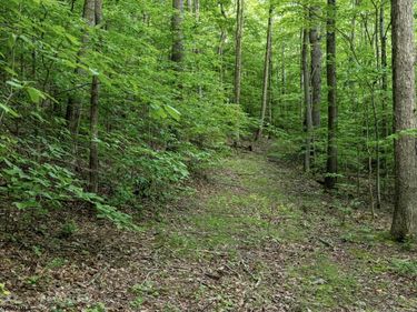 Lot 1 Sycamore Fork Road, Wallace, WV 26448