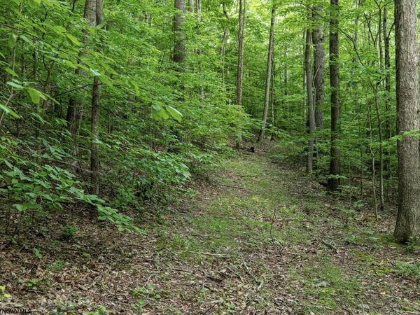 Lot 1 Sycamore Fork Road, Wallace, WV 26448