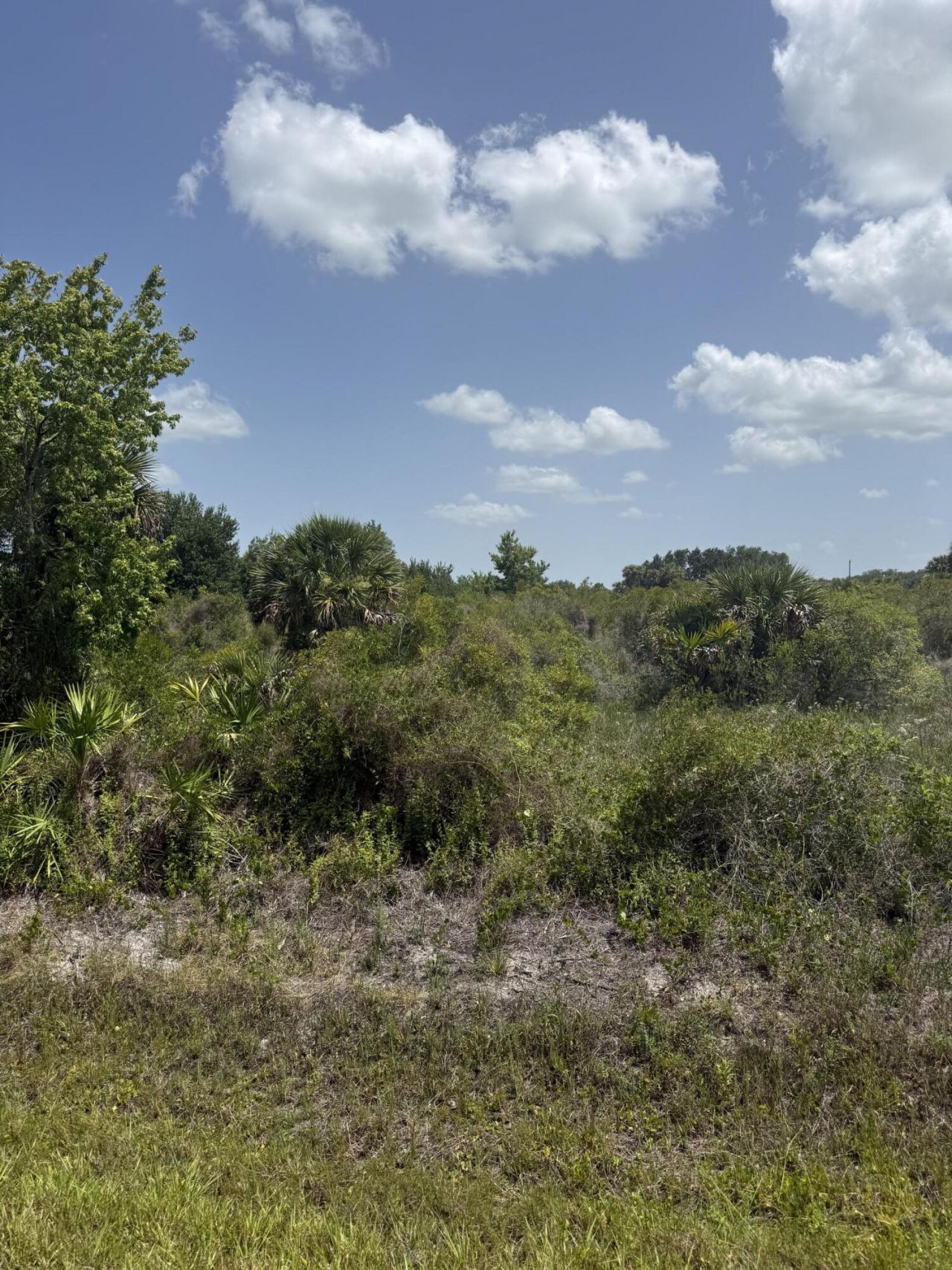 20862 NW 262nd Street, Okeechobee, FL 34972 Main Photo