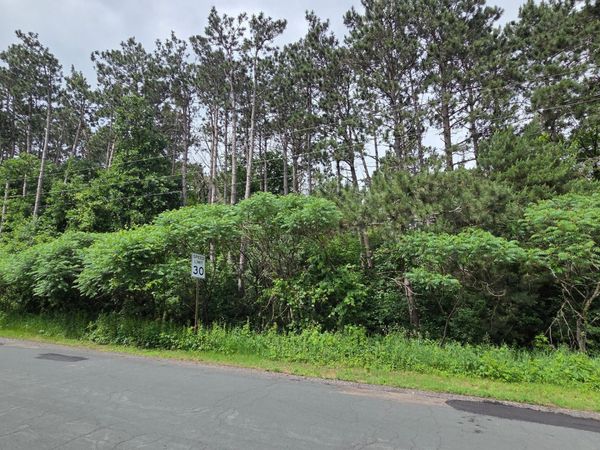 TBD Uplander Street NW, Andover, MN 55304